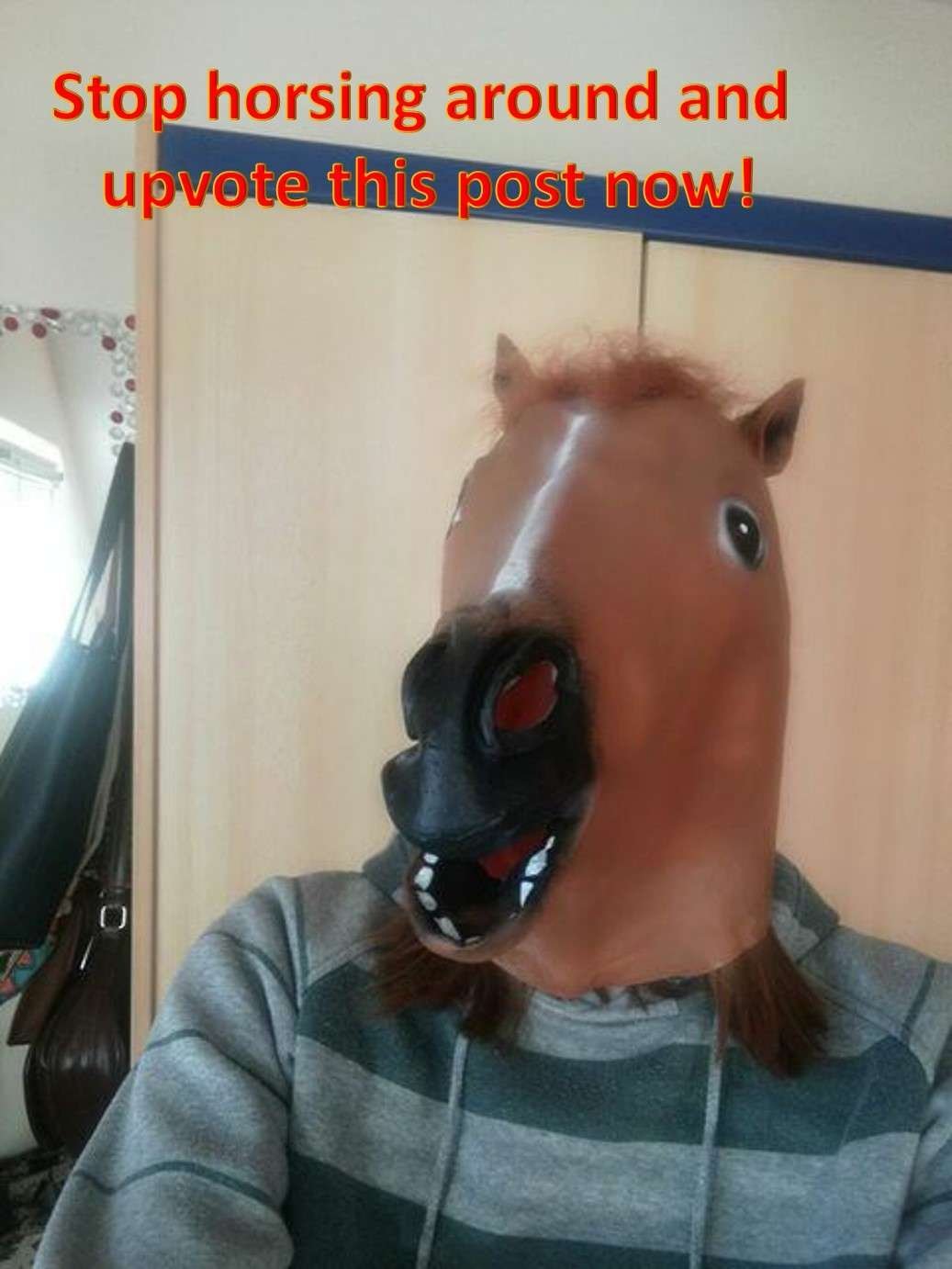 Horsing