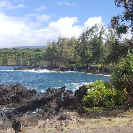 On the Road to Hana