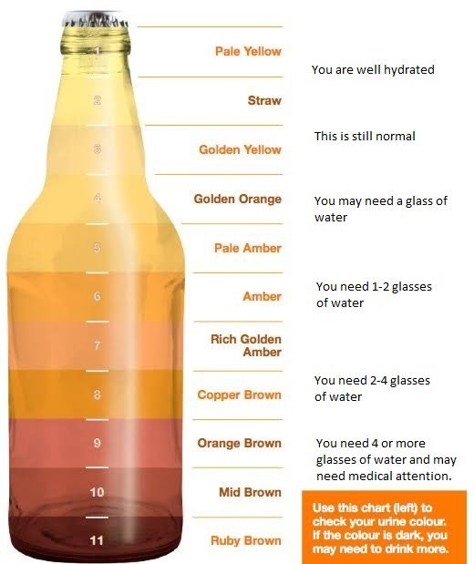Urine Color After Drinking Alcohol Urine Color After Drinking Alcohol
