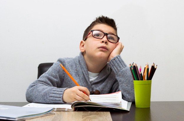 essay on environment issue language pdf