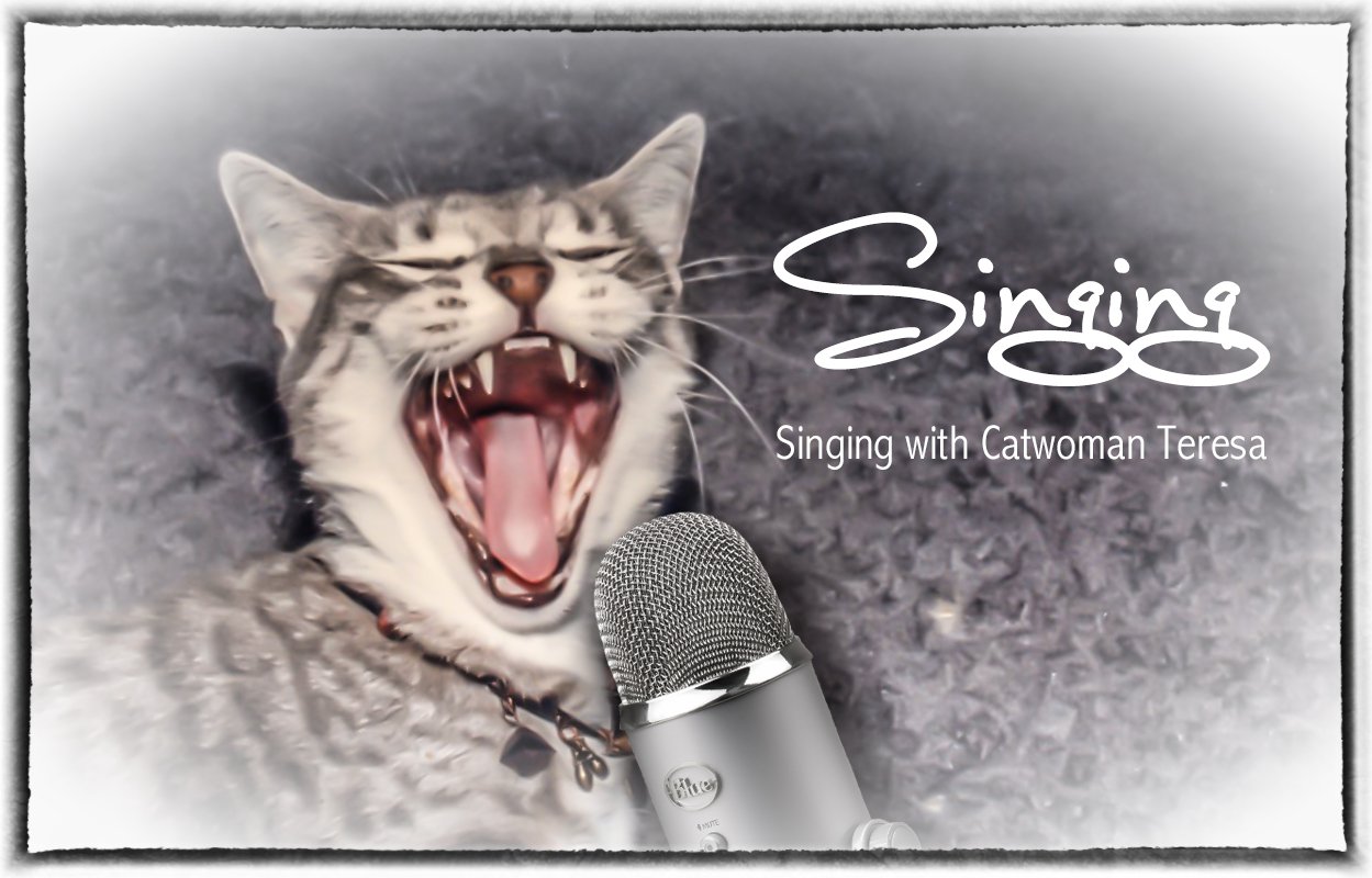 sing_cover.jpg