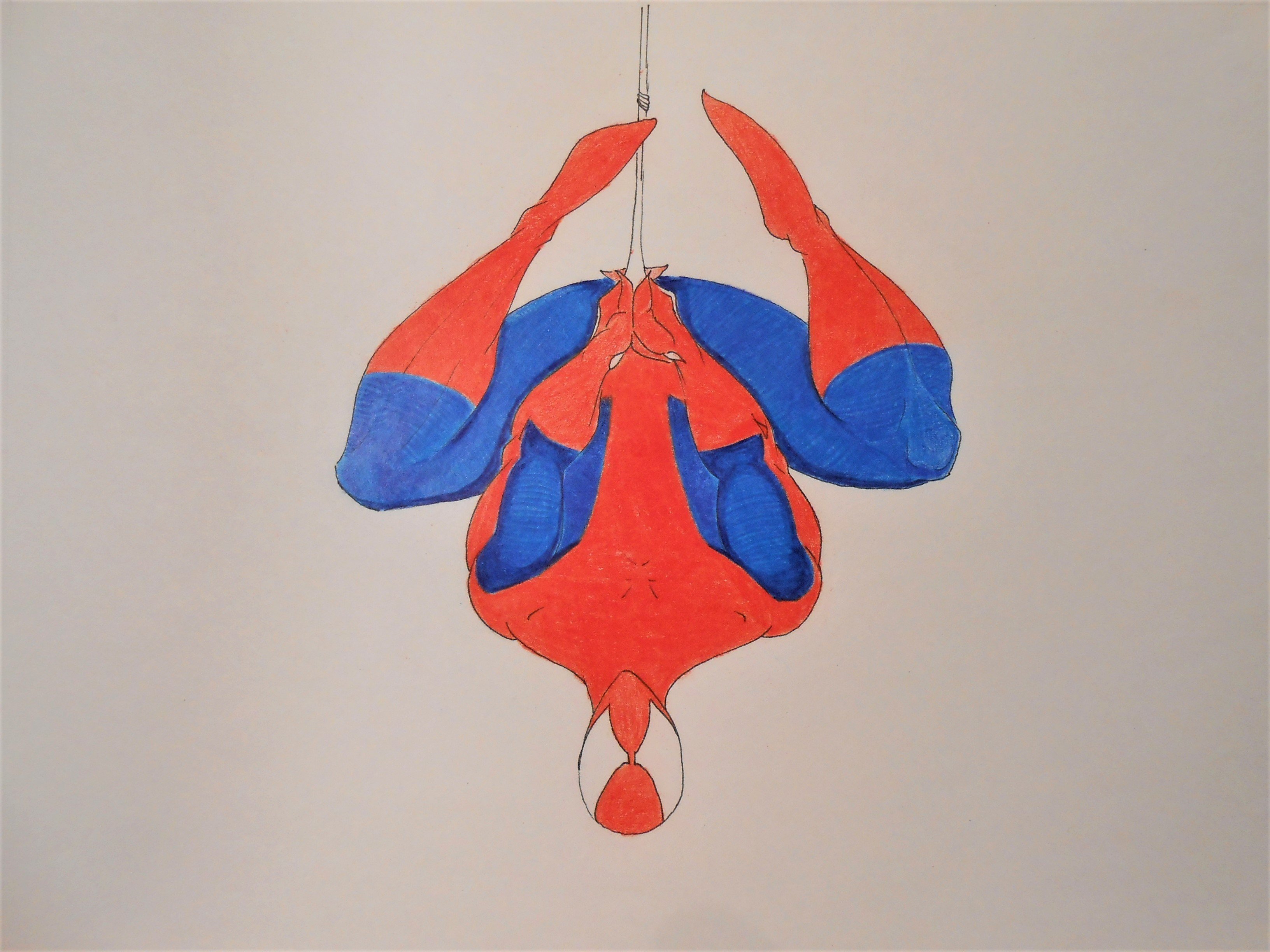 Spidey_p3_3