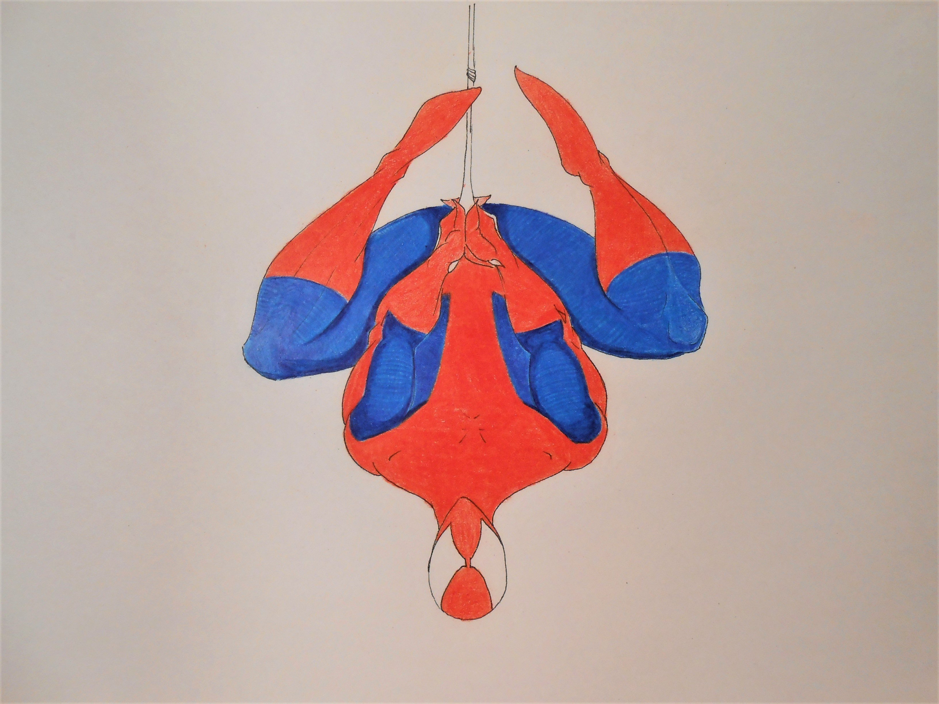 Spidey_p3_4