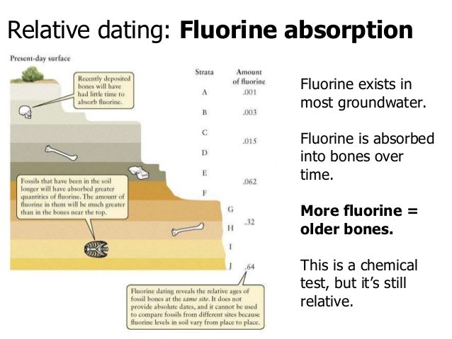 Difference Between Relative and Absolute Dating