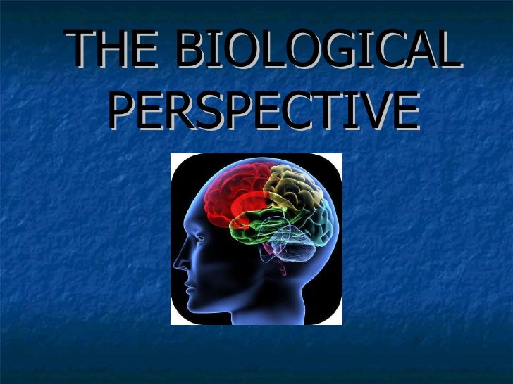 Image result for biological perspective