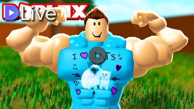 Pl Gram W Roblox O - roblox login pl