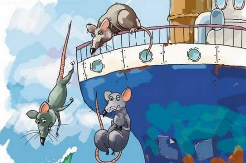 Are Rats Deserting A Sinking Ship