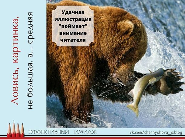 ovMnyxdaU2E.jpg