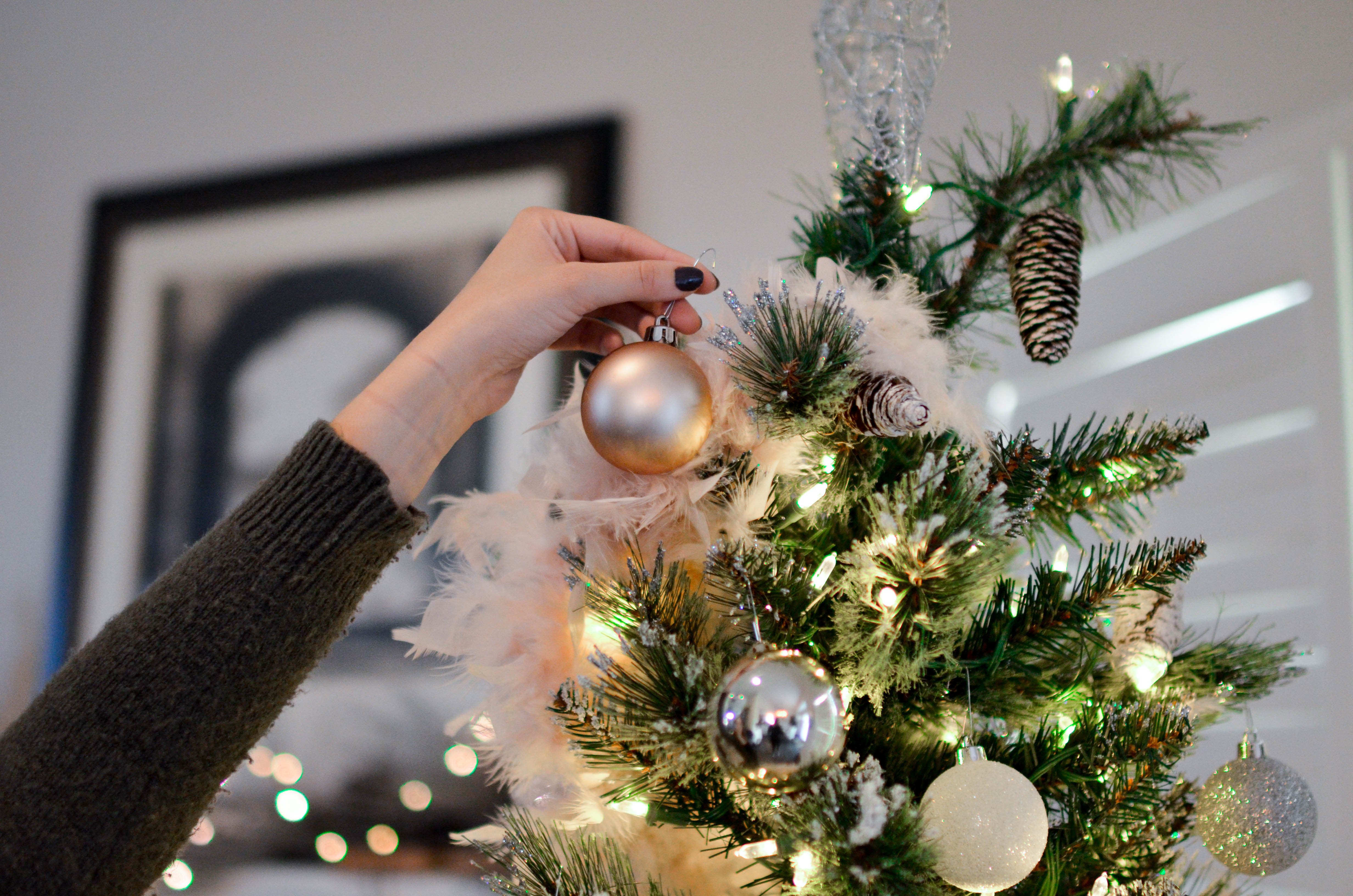 christmas tree oh christmas tree why do we put you up every year why do we put up christmas trees