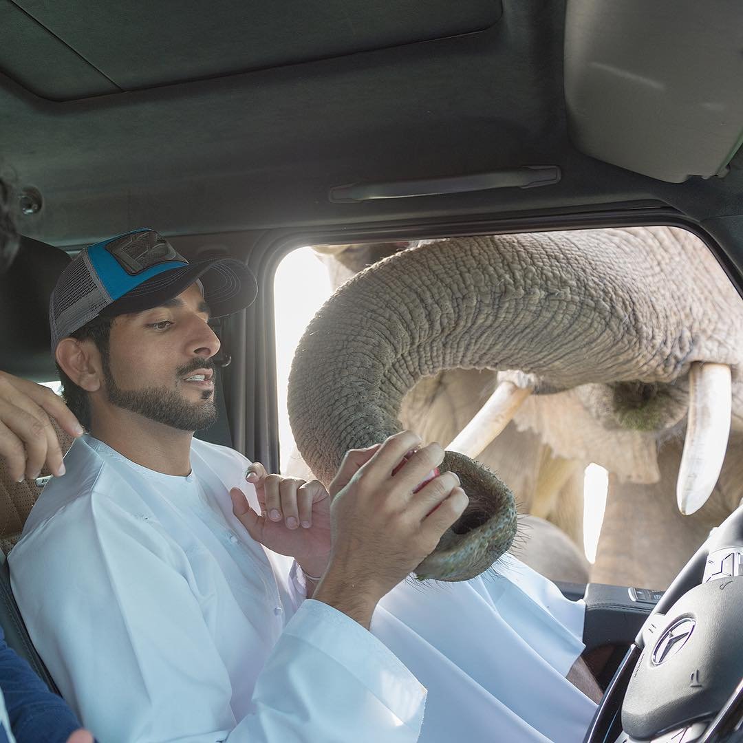 Meet the Real-Life “Aladdin” – Crown Prince of Dubai ... - 1080 x 1080 jpeg 126kB