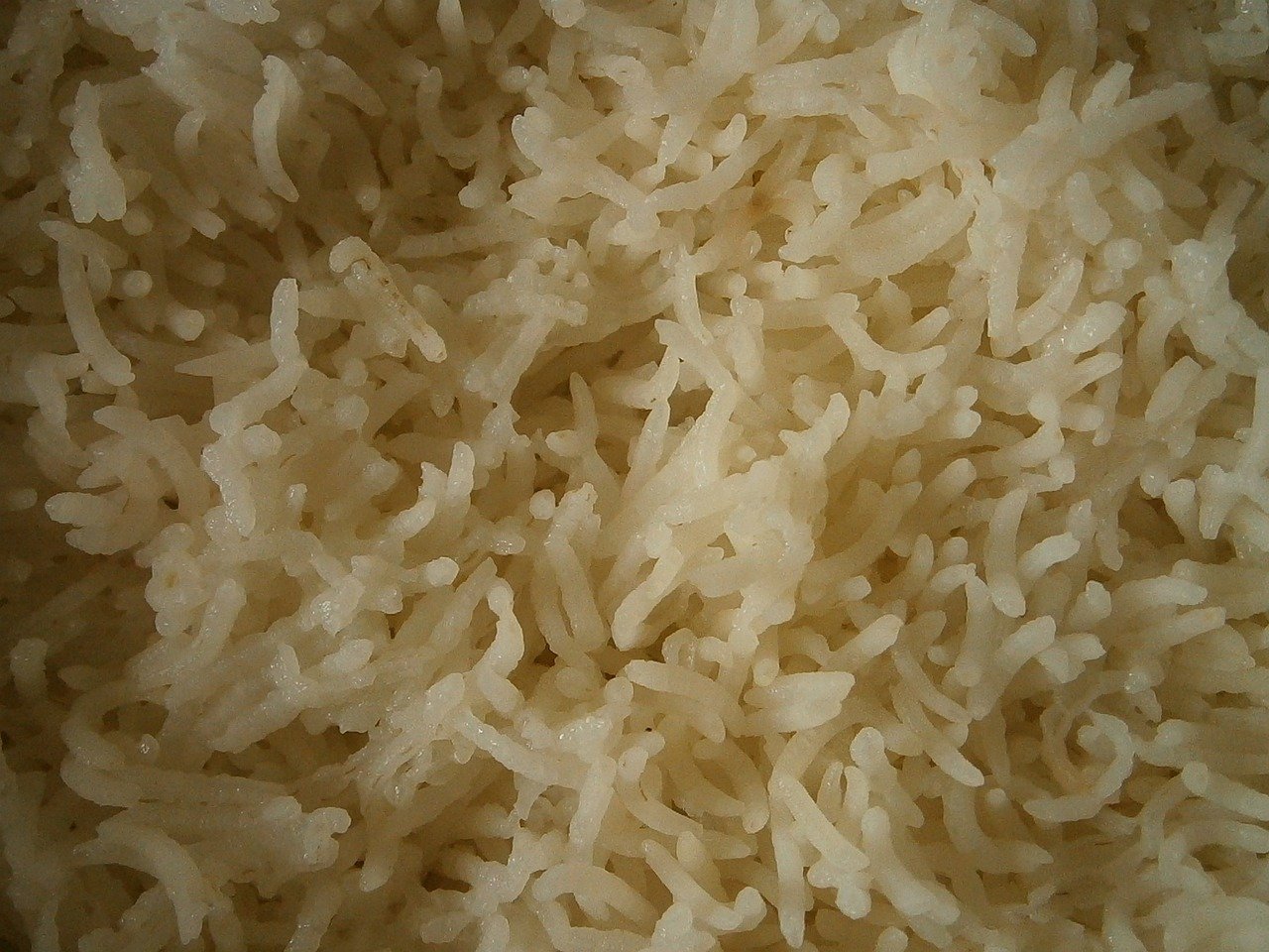 rice-489253_1280.jpg