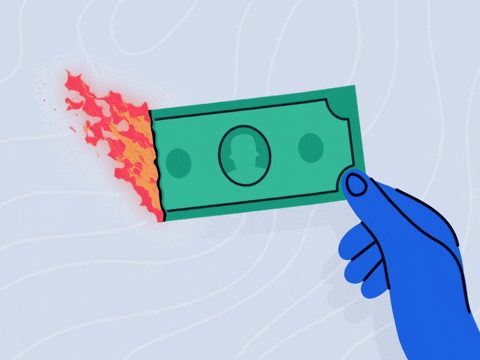 money burn.gif