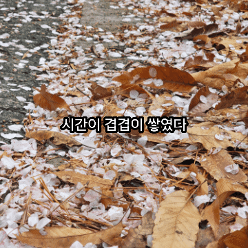 1000083874.gif