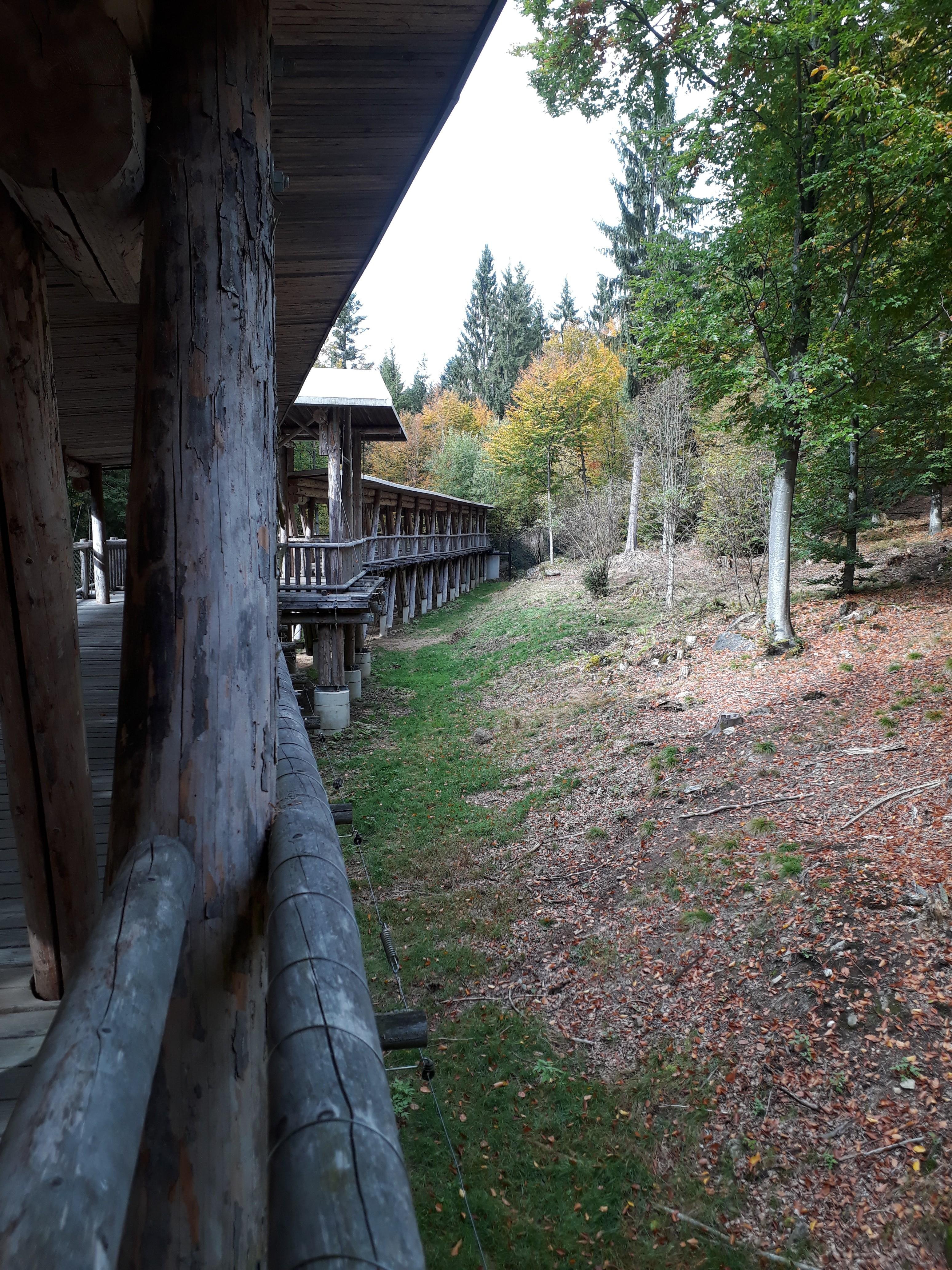 Haus Zur Wildnis In Ludwigsthal