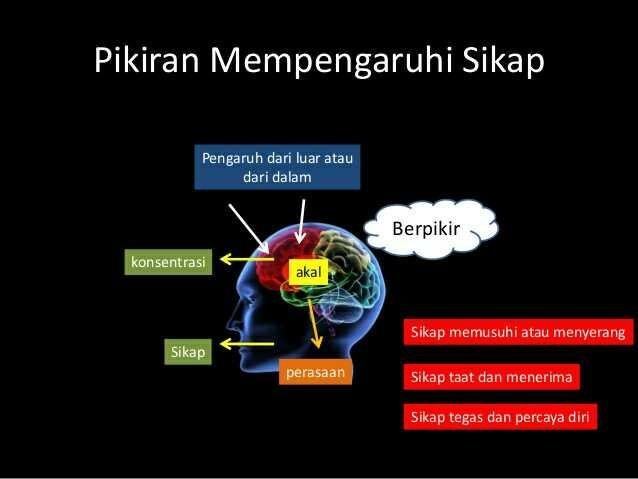 Semua Manusia Diciptakan Sempurna Steemkr