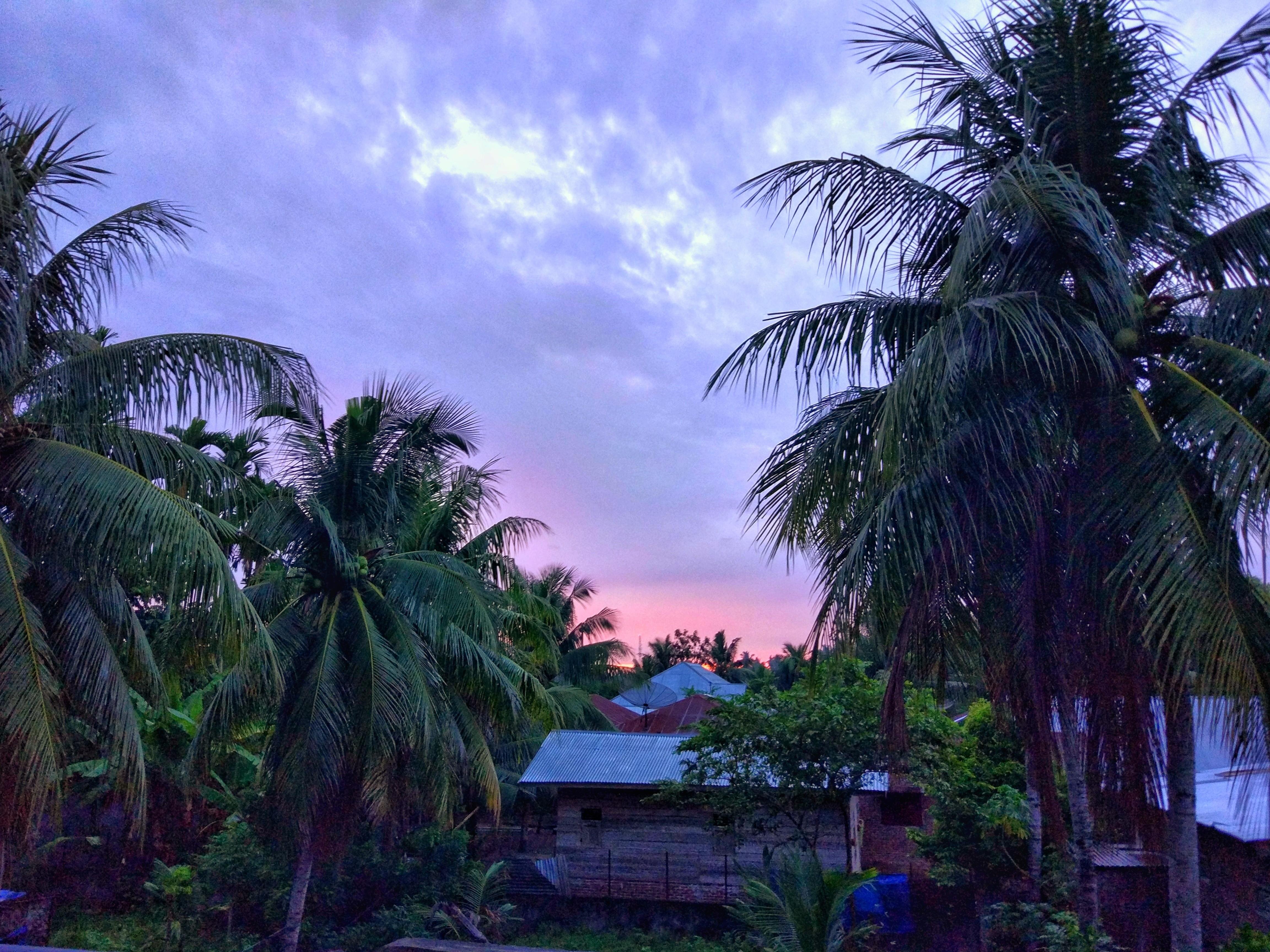 95 Gambar Alam Di Pagi Hari 95 Gambar Alam Di Pagi Hari