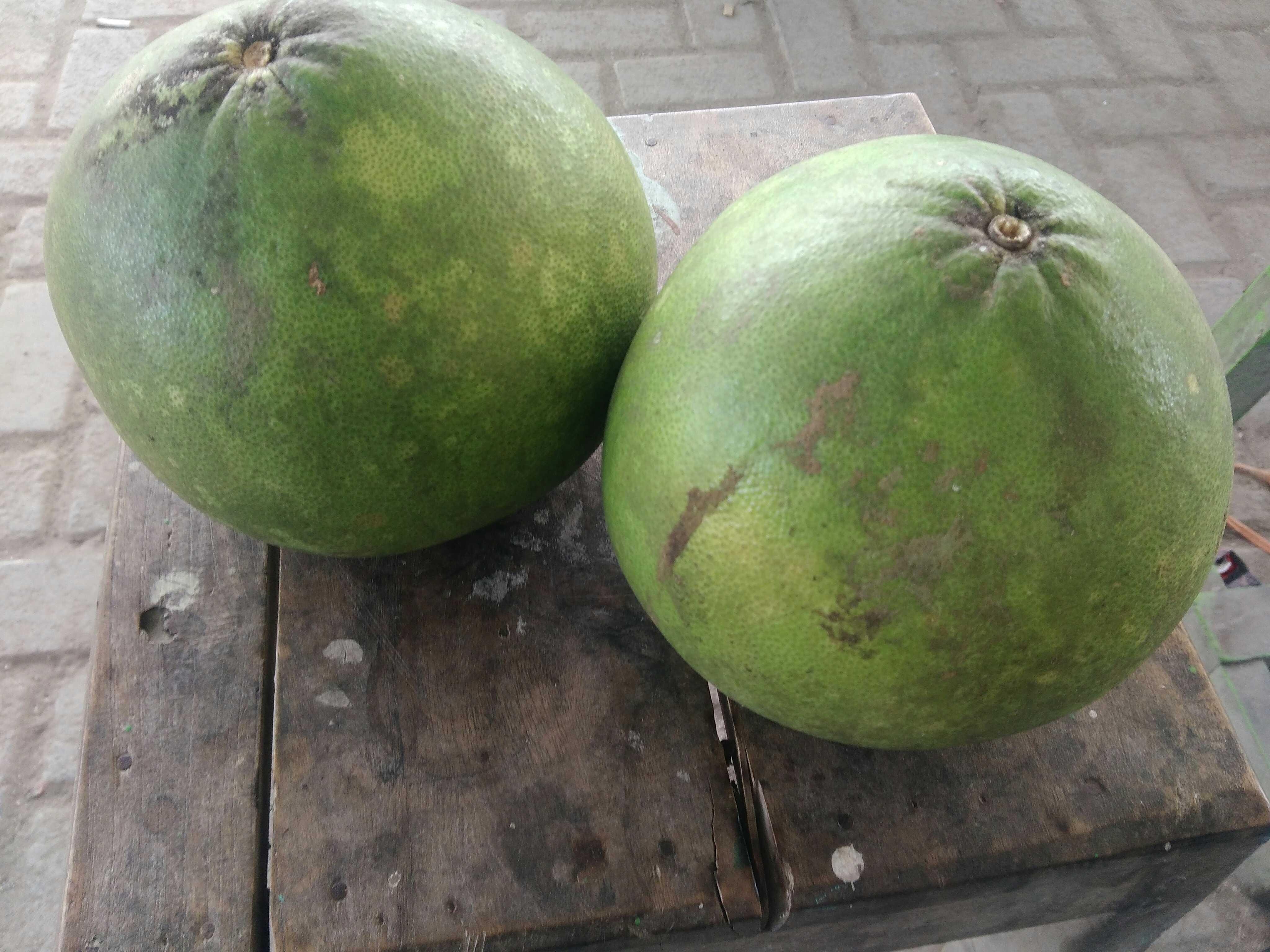 Jeruk Bali Grapefruit Steemkr