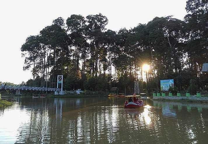 Keindahan Wisata Hutan Lindung Aceh Timur Steempeak