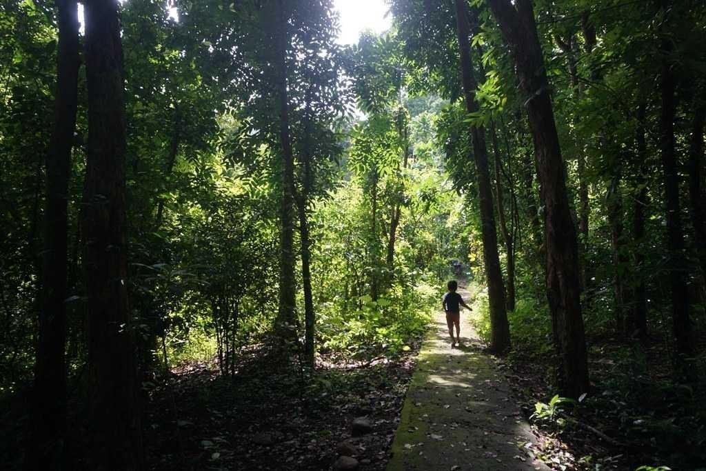 Taman Wisata Alam Kerandangan Steemkr