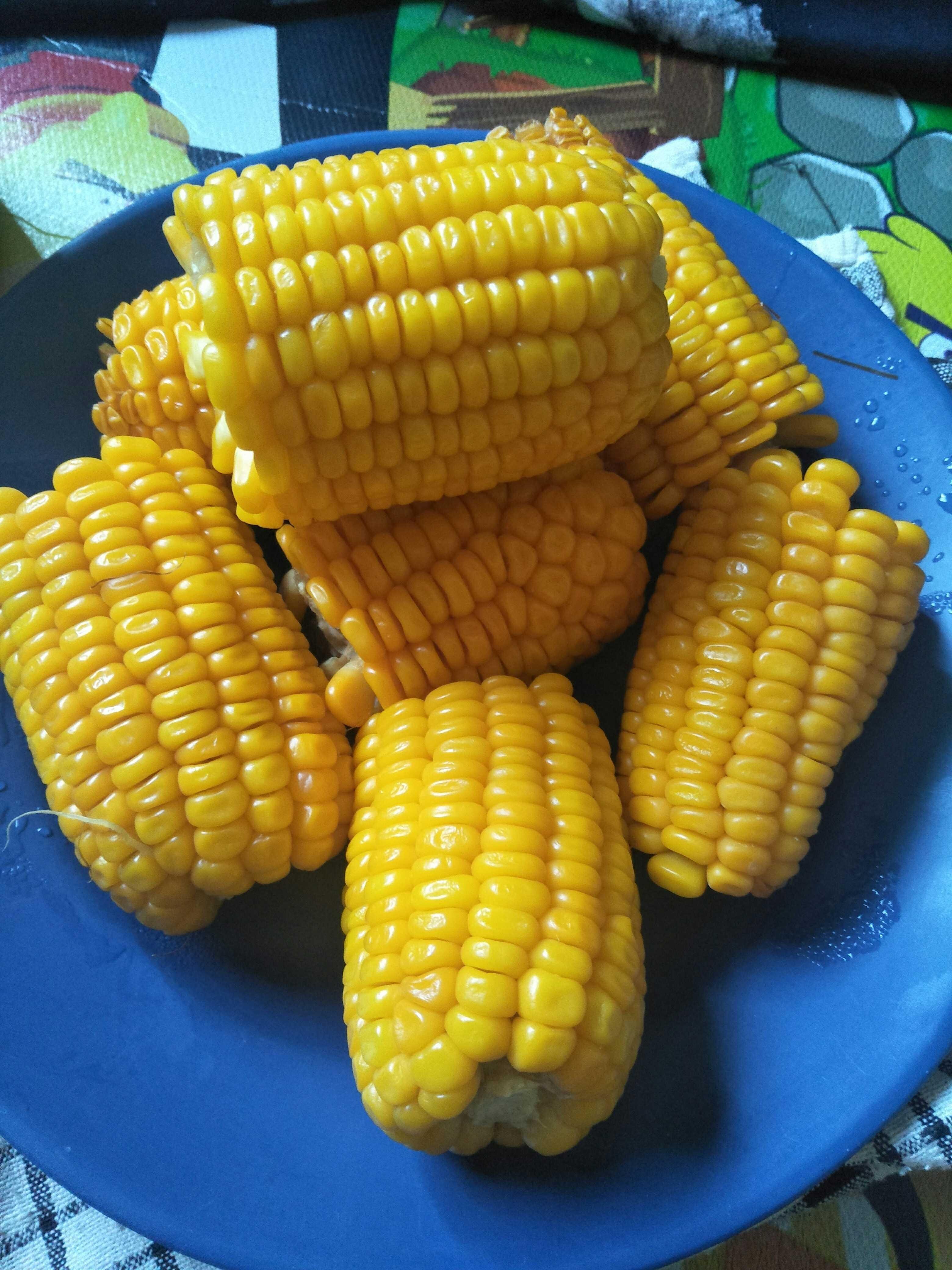 Jagung Rebus Steemkr