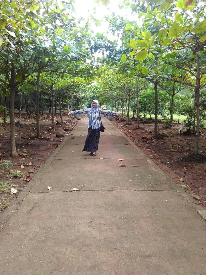 Hutan Kota Bni Banda Aceh Steemkr