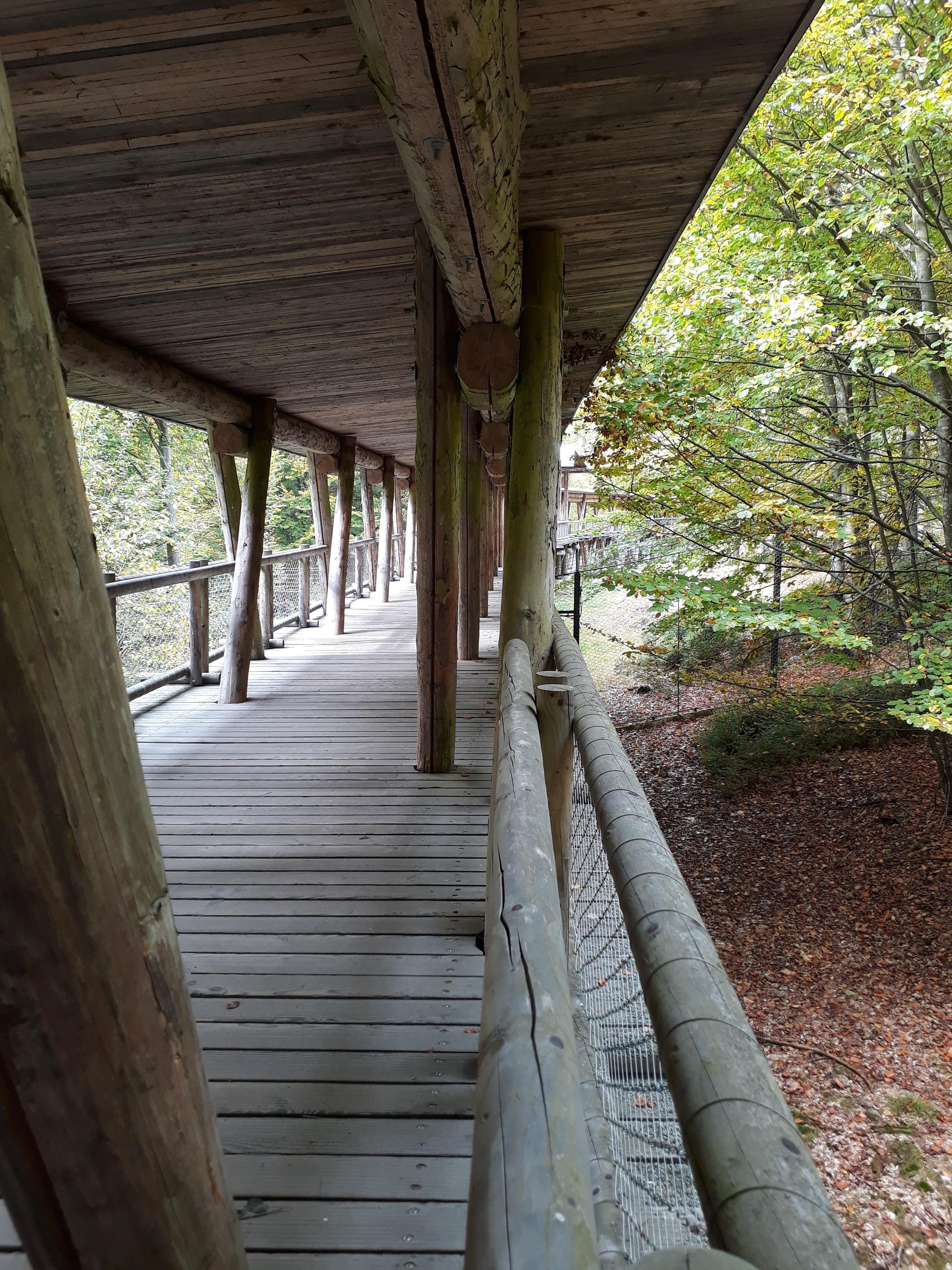 Haus Zur Wildnis In Ludwigsthal