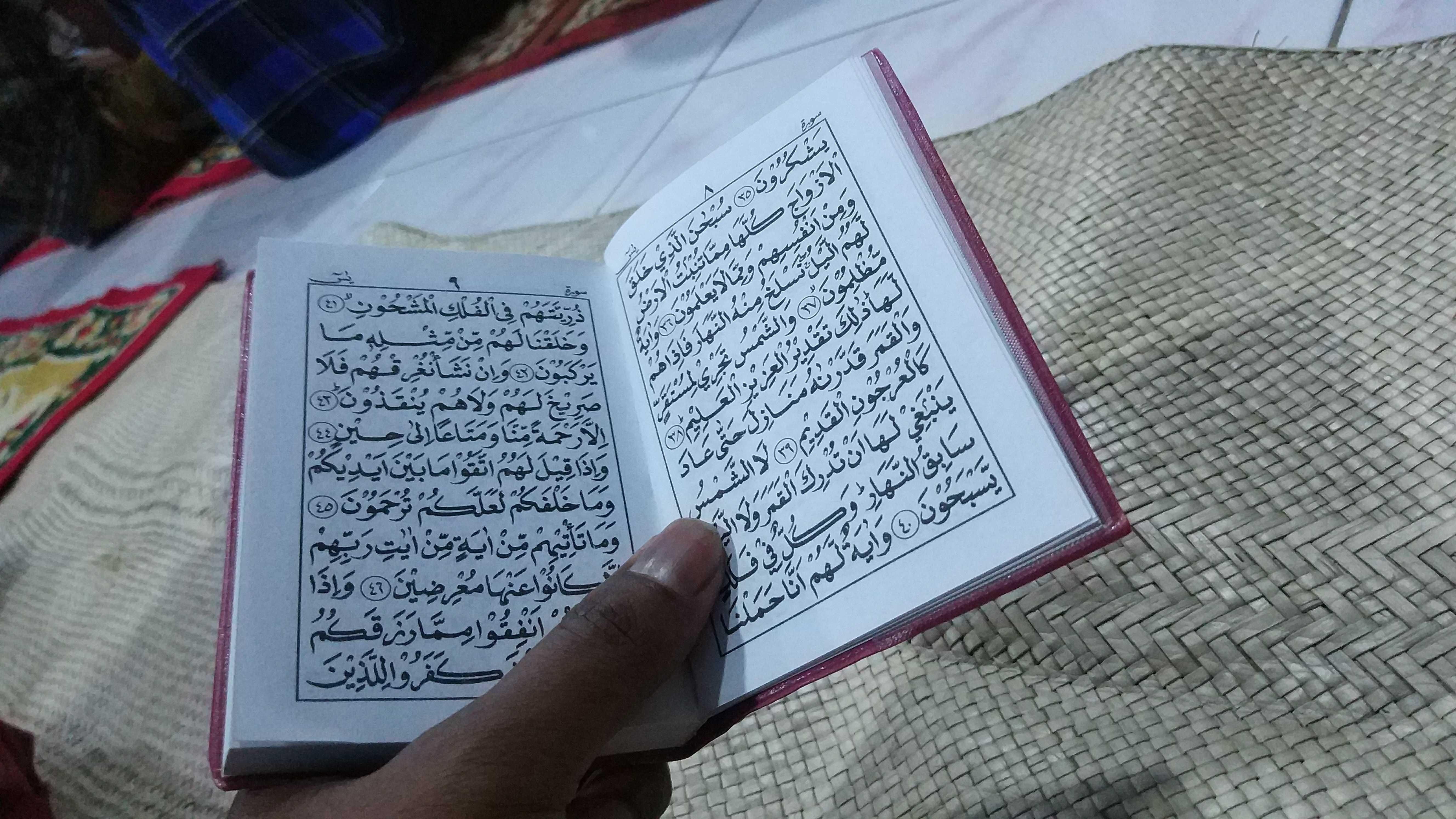 Baca Yasin Malam Jumat Steemit