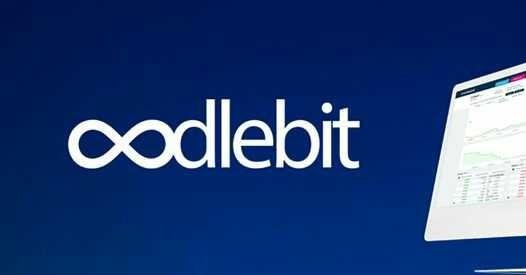 Image result for oodlebit exchange