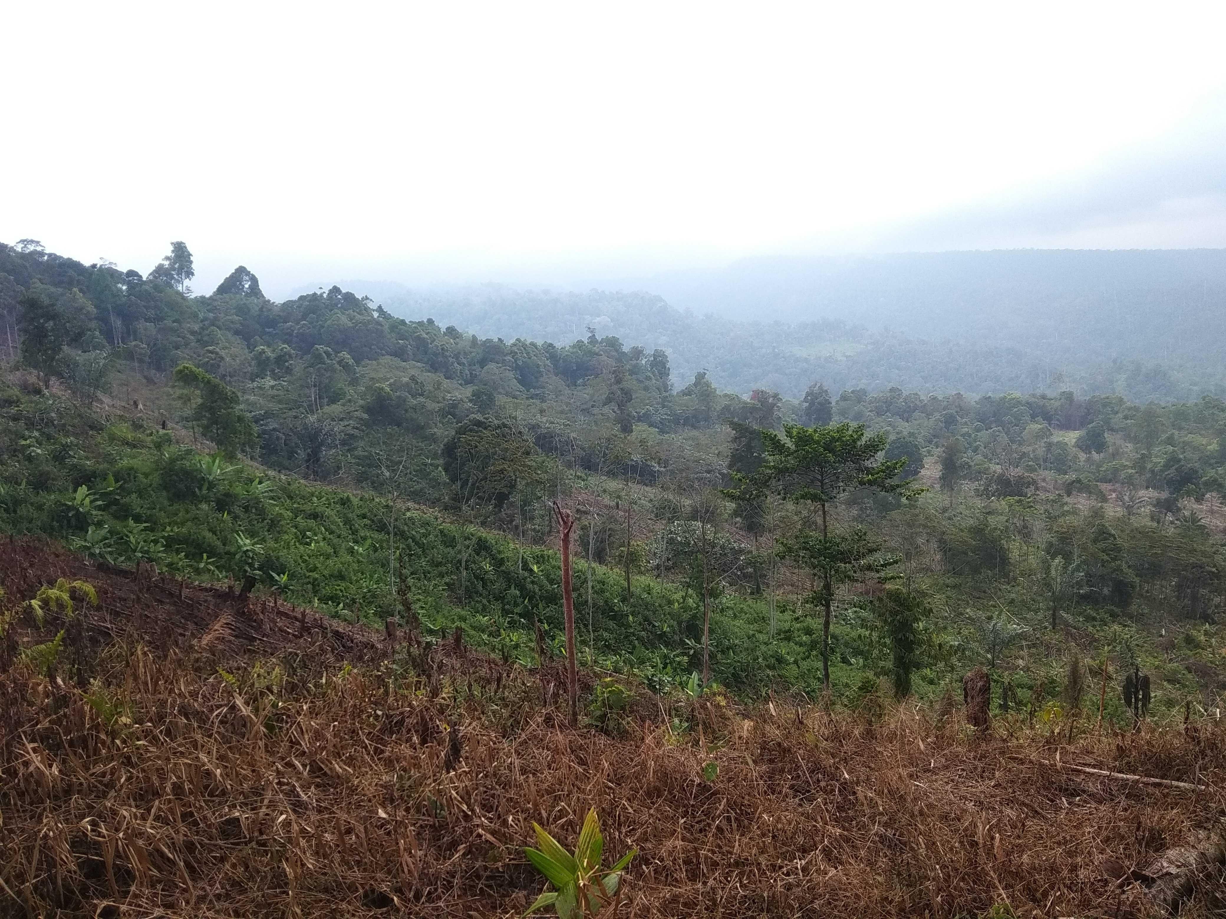 Wisata Baru Gunung Salak Aceh Indonesia New Tour Mountain