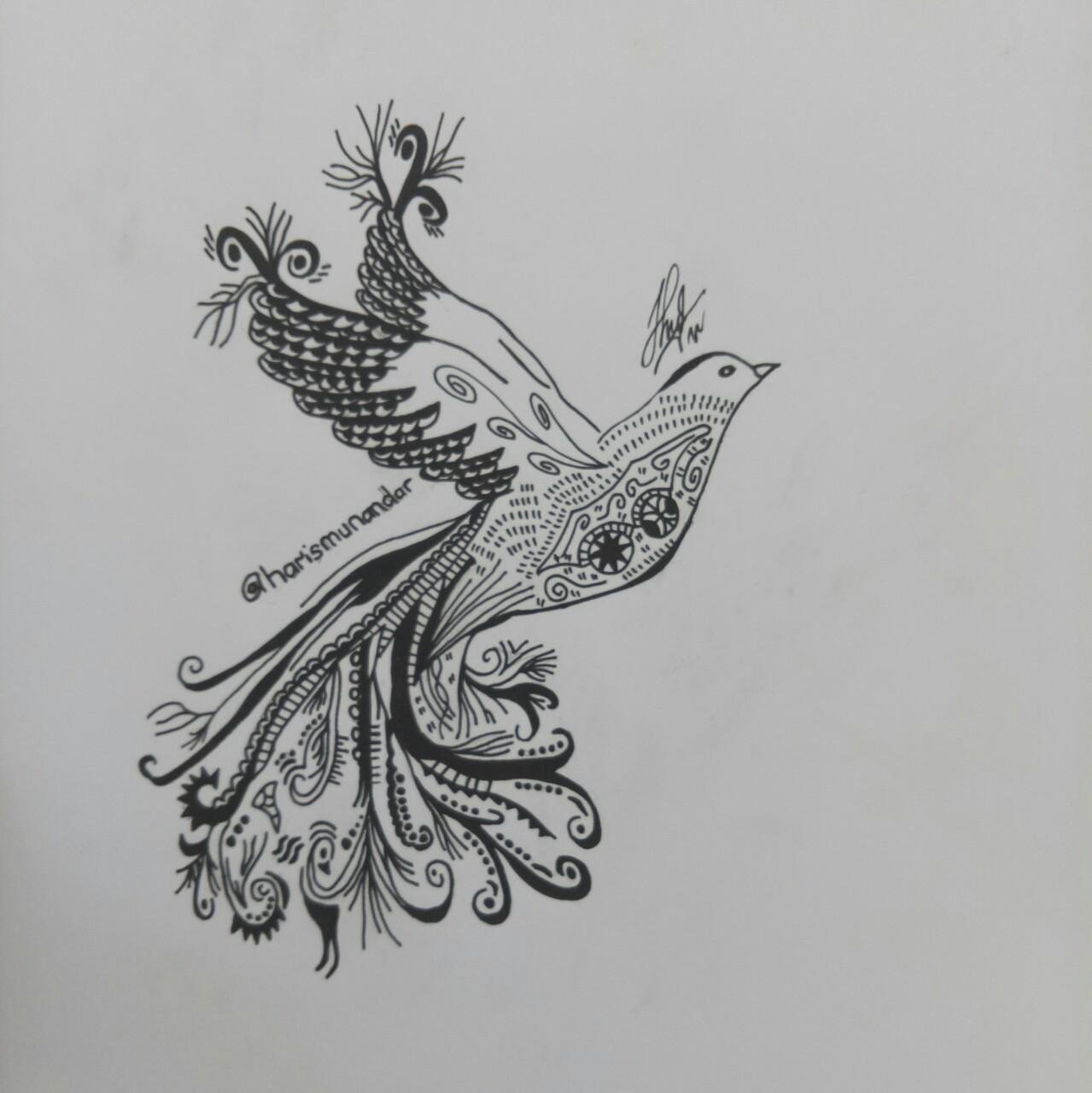 Art Of Drawing Merpati Putih White Dove Two Language Indo