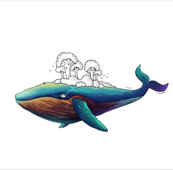 Kumpulan gambar untuk Belajar mewarnai: Gambar Ikan Paus ...