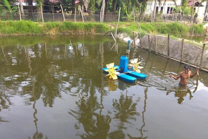 The Spirit of Vaname Shrimp Farmers in Aceh  Semangat 