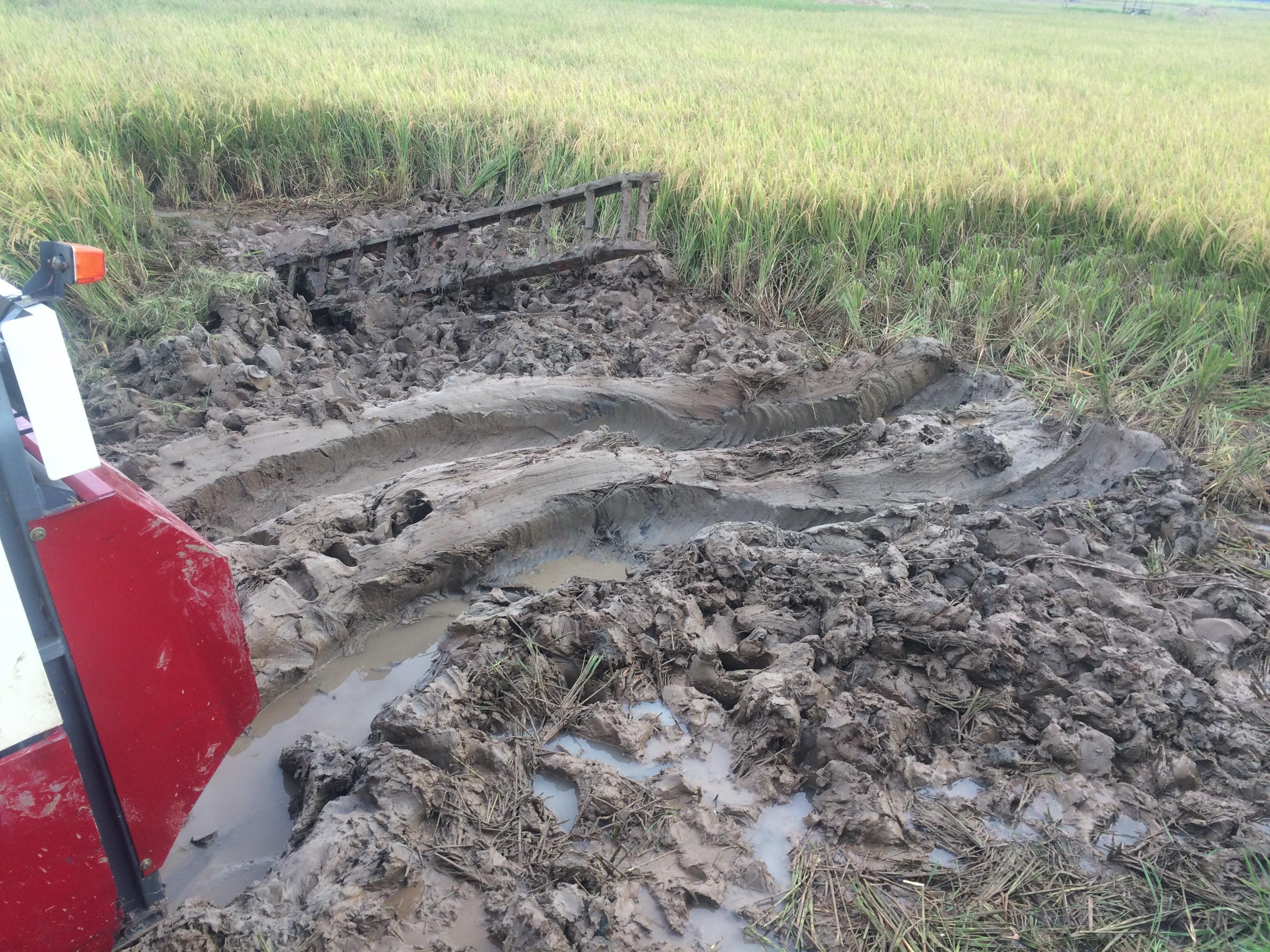 Mesin Panen Padi  Petaka Bagi Petani Bagian I dari II 