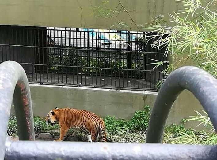 Zoo Johor Bahru Malaysia Steemkr