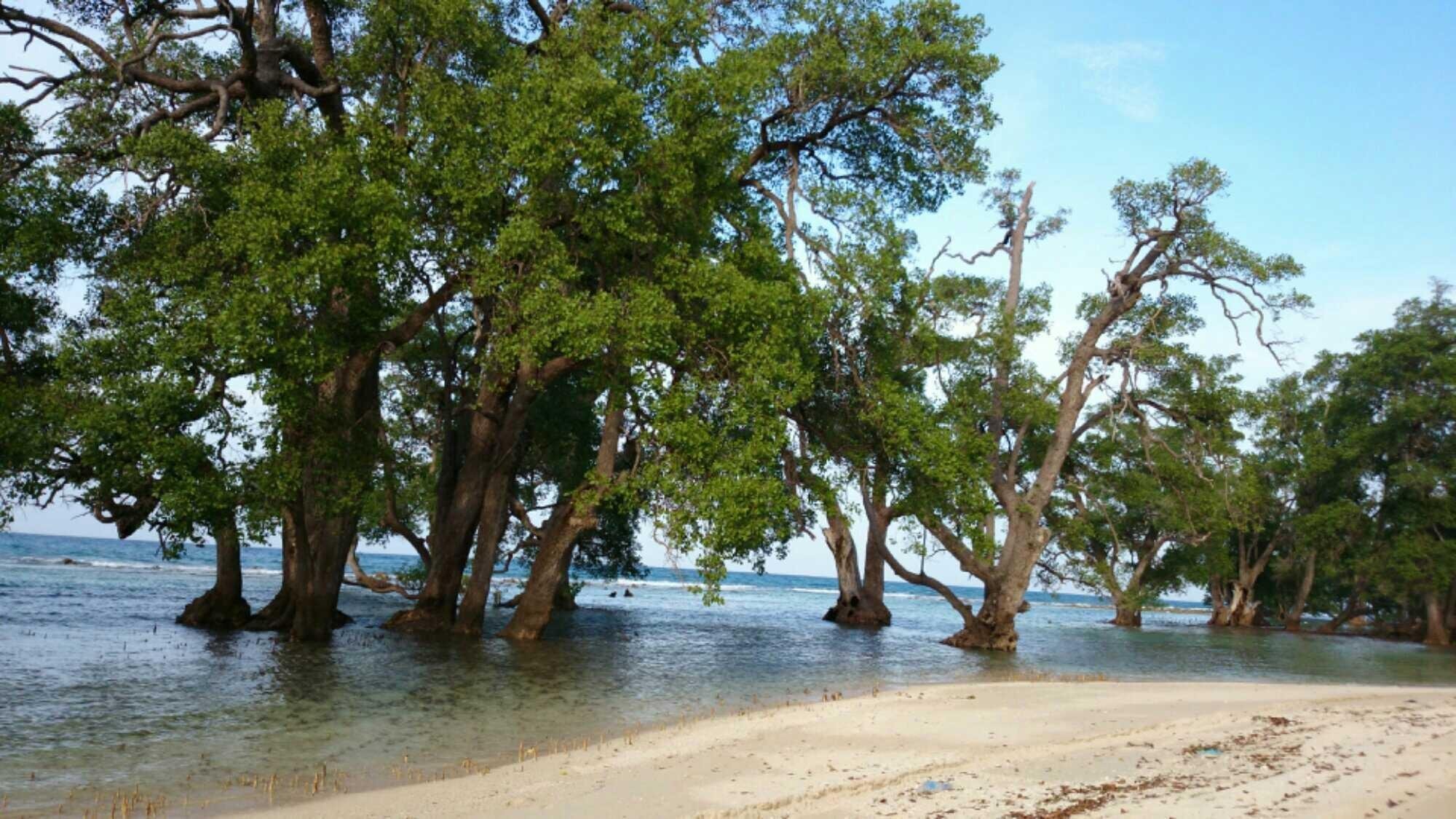 Beauty Of Lhok Mee Aceh Beach