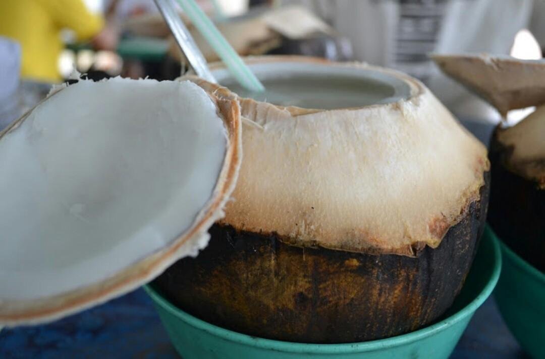 Image result for kelapa muda bakar