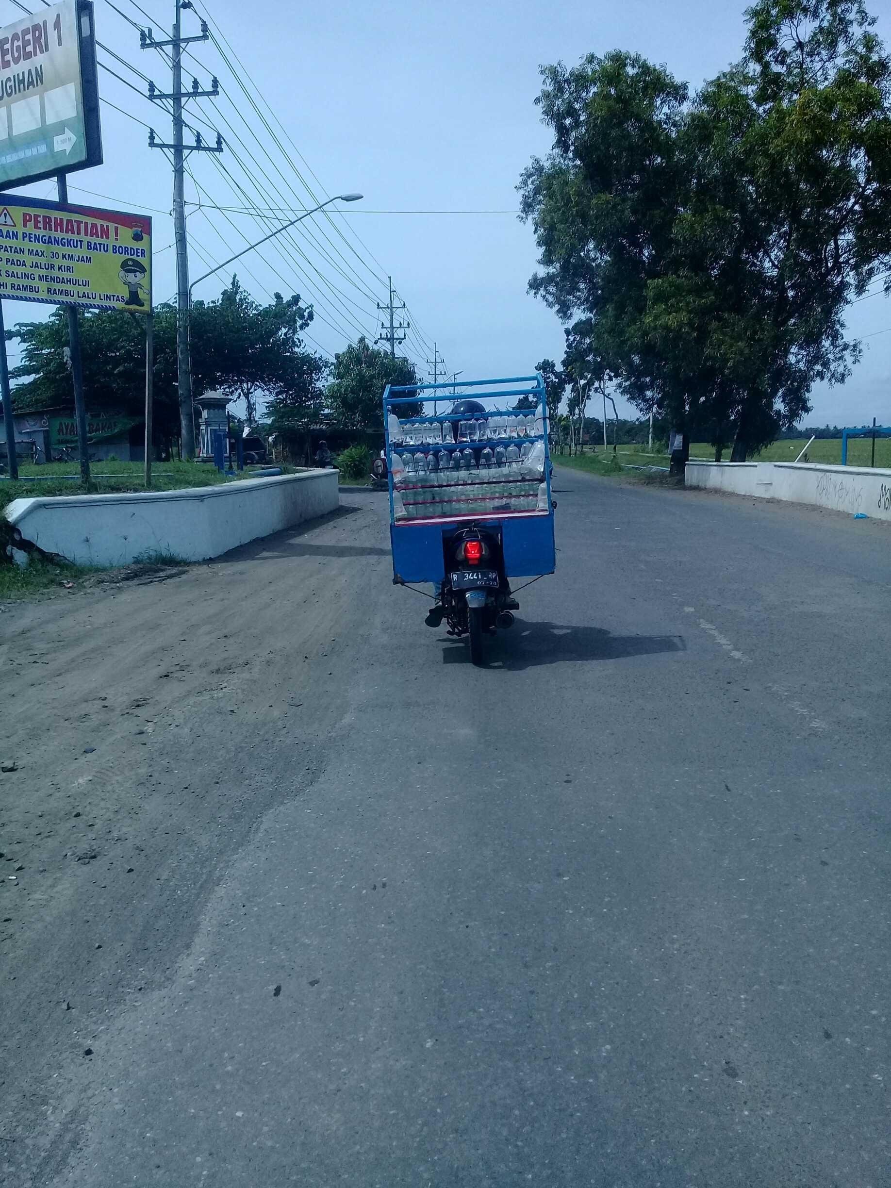 Ikan Hias Keliling Bilingual