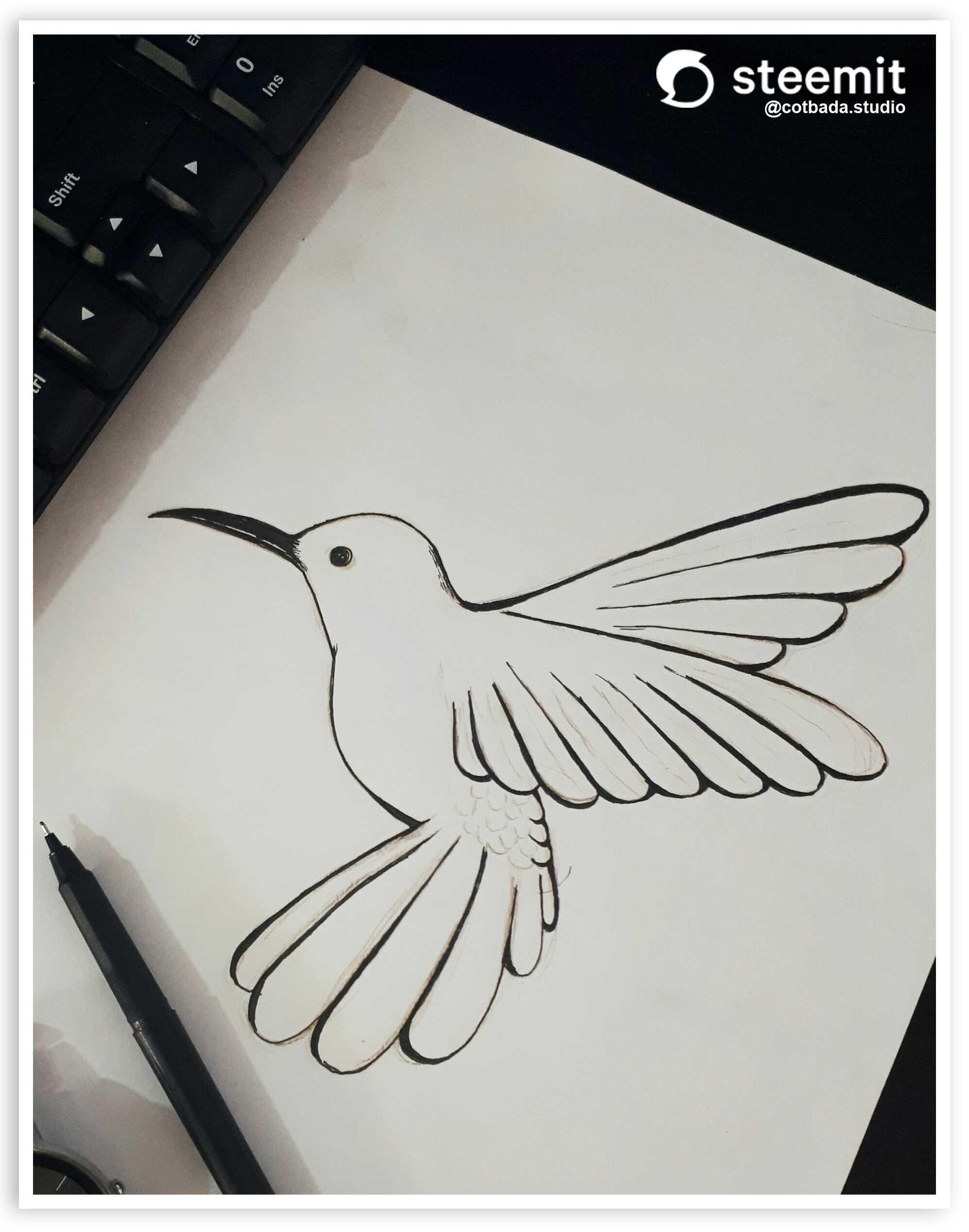 Tutorials Drawing And Coloring Hummingbirds Request Followe