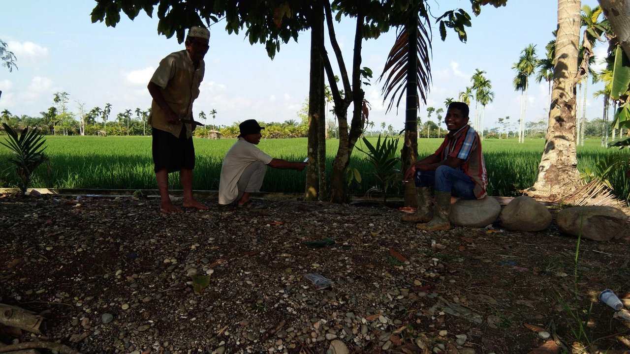 Bercengkerama Sambil Menikmati Pemandangan Padi Dara