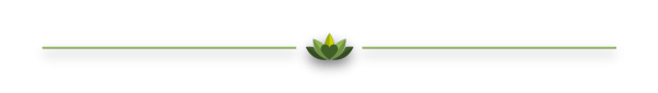 l9wwd4torp.png