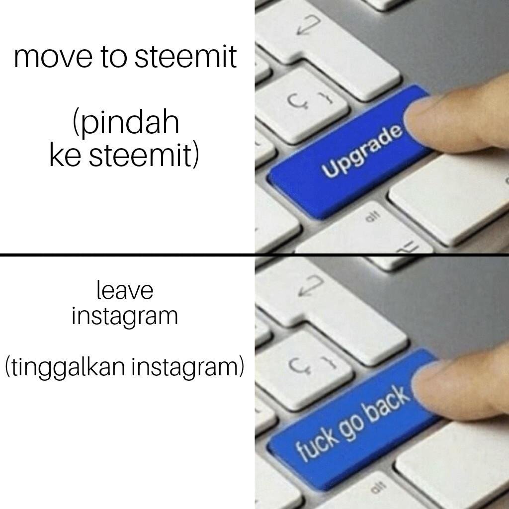 Meme Part 3 Steemit