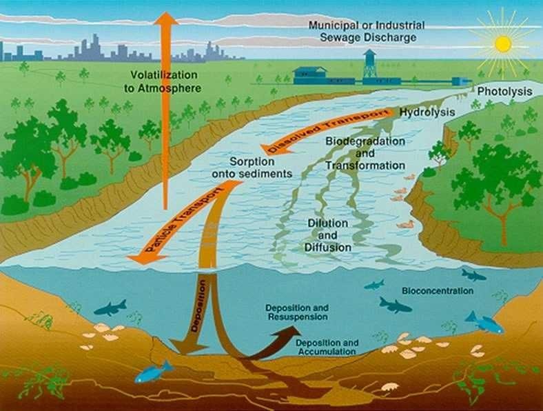 Ecology # 3 [ecology and ecosystems in fresh water have a positive ...