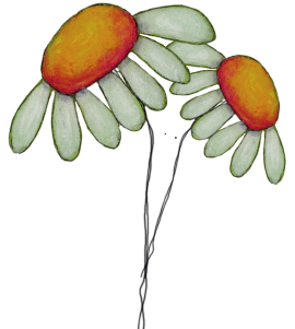 mh5ukdppui.png