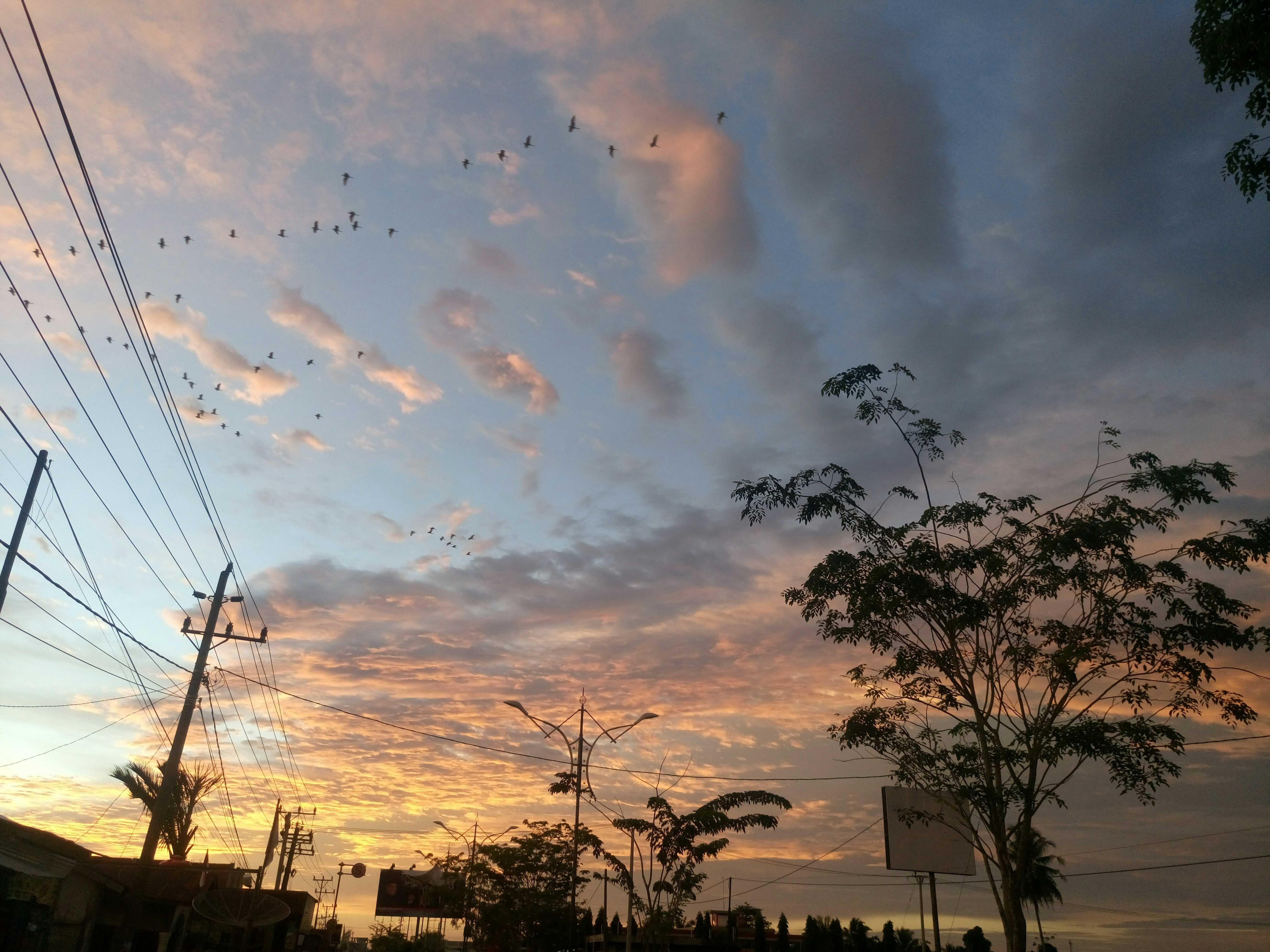 Sunset Jingga Menghiasi Langit Biru Steemkr