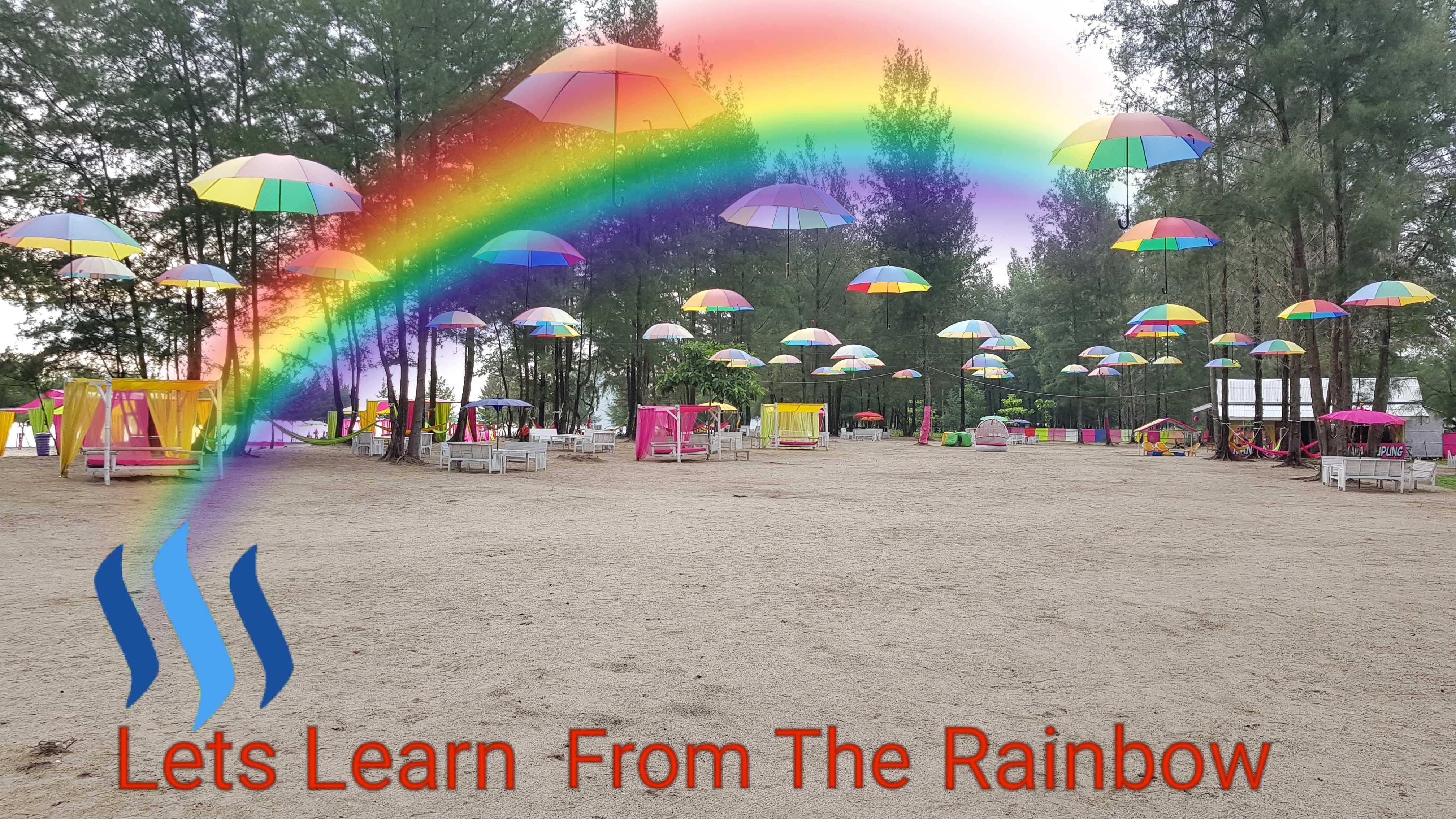 Lets Learn To Live Life From The Rainbow English Indonesia Steemit