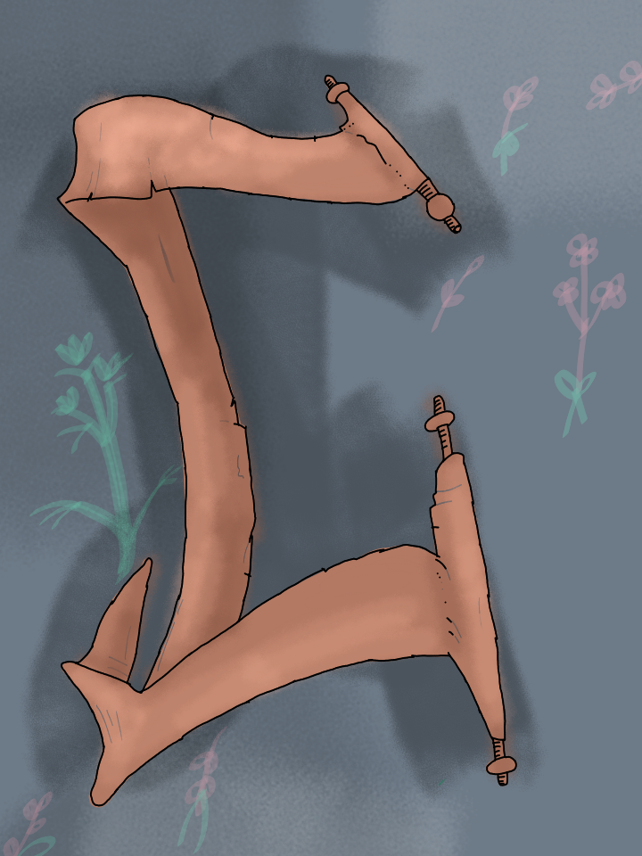 nlmp7mv6o2.png