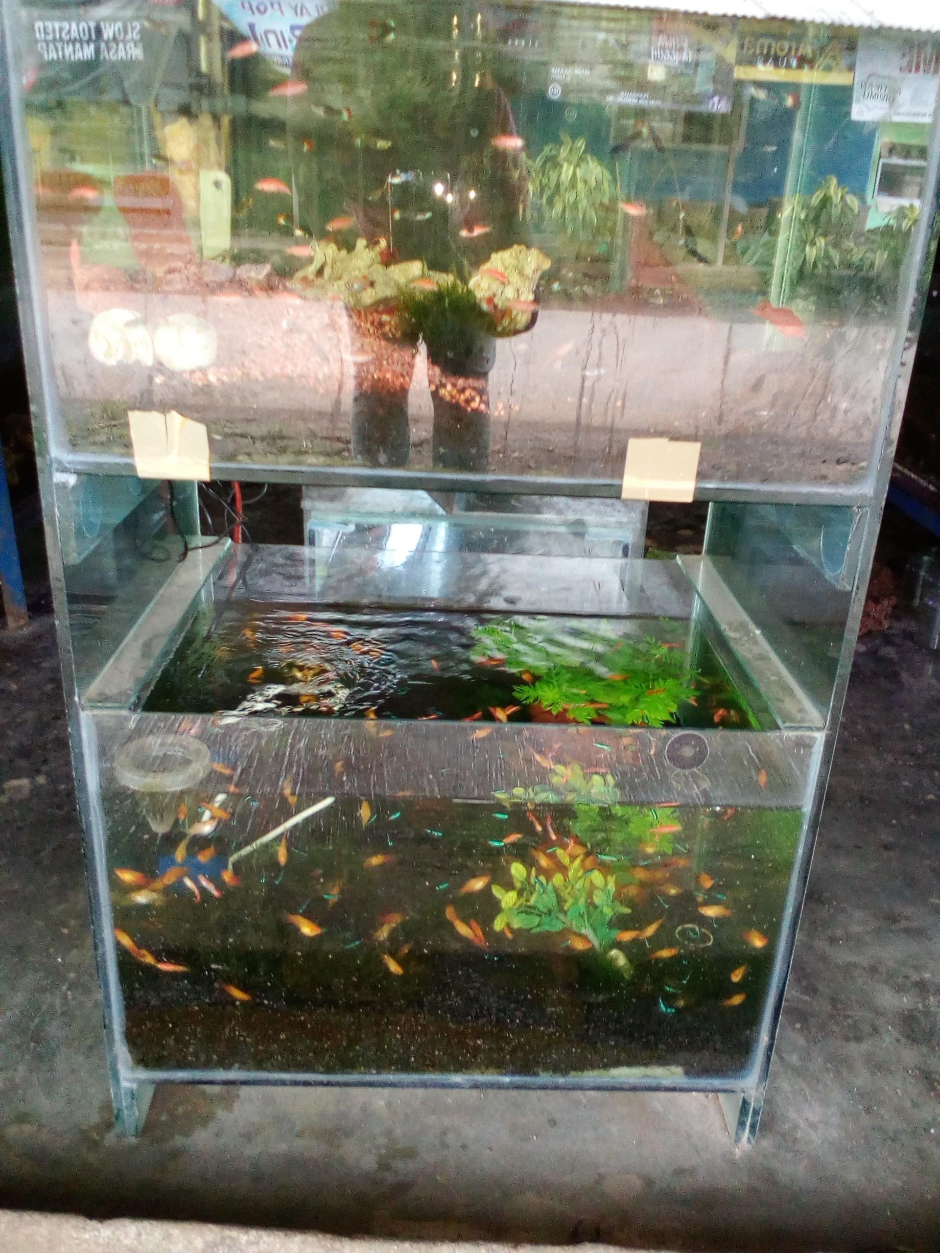 Aquarium