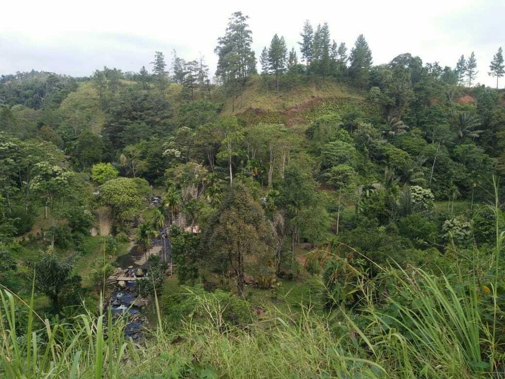 Keindahan Alam Menuju Dataran Tinggi Gayo