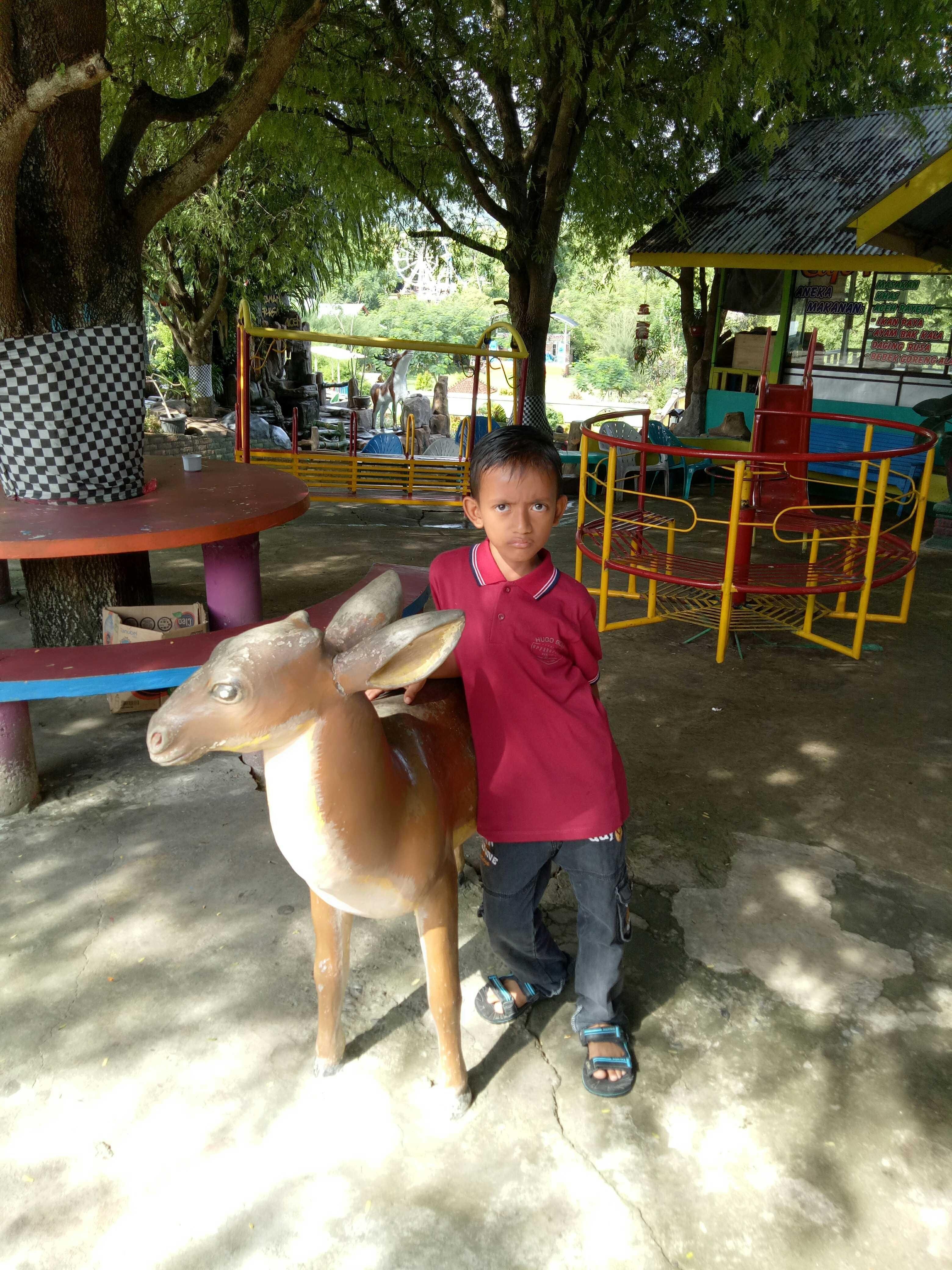 Taman Wisata Rusa Sibreh Aceh Besar Steemkr