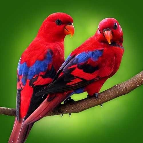 Manusia Selalu Tidak Puas Dengan Kehidupannya Steemkr